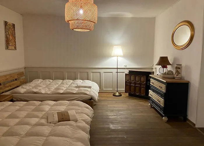 Lejlighed Old Rustic Simple Swiss Flat 60m2 Authentic Center Parking Small Bath *